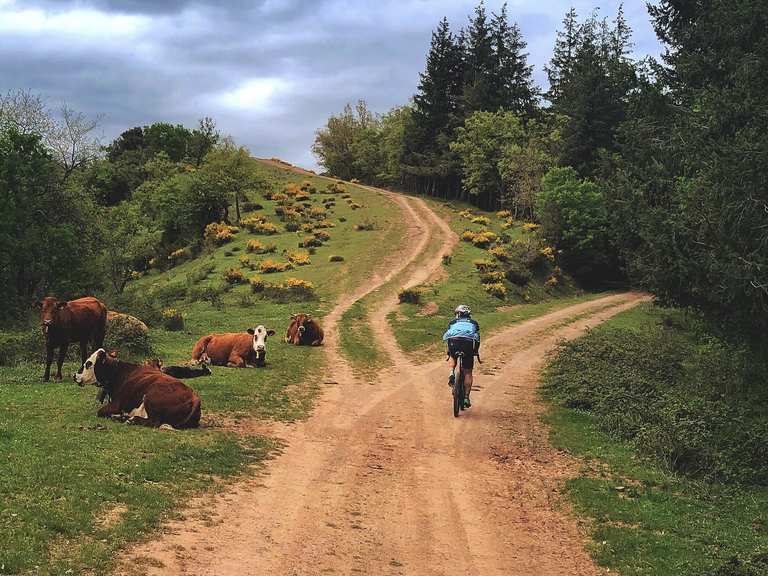 Cammino di Santiago in gravel: traccia komoot e guida completa