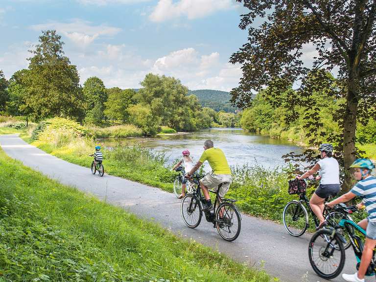 Rhine bike clearance