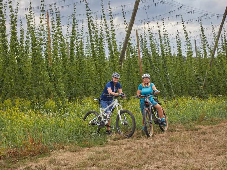 Cycling to the Hop Weeks in the Nuremberg Region Bike Touring