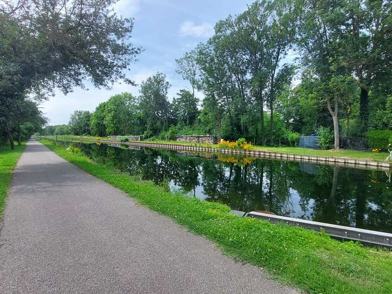 L Alsace au fil de l eau V loroute Rhin EuroVelo 15 Sortie