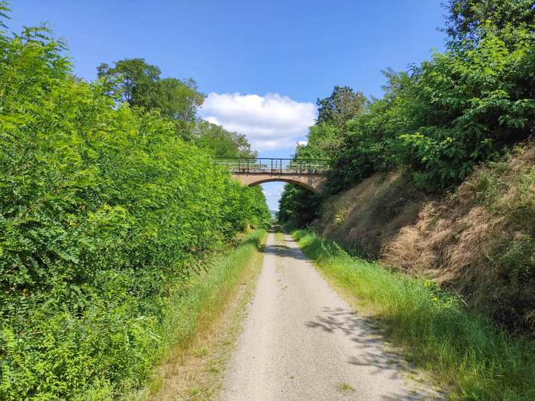 Cycling on the Bavarian-Bohemian Friendship Trail | Cycling Collection ...