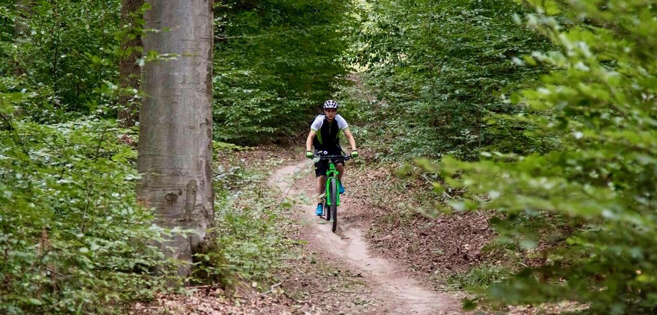 flowy mtb trails near me