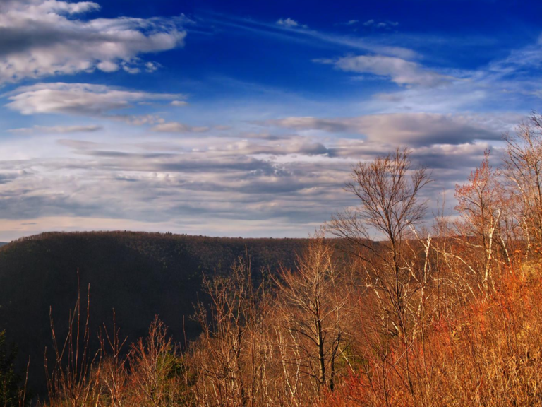 Mid State Trail — Traversing the Pennsylvania divide | Hiking ...