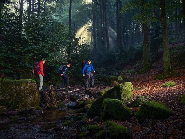 Cross hiking the Black Forest Hiking Collection by komoot