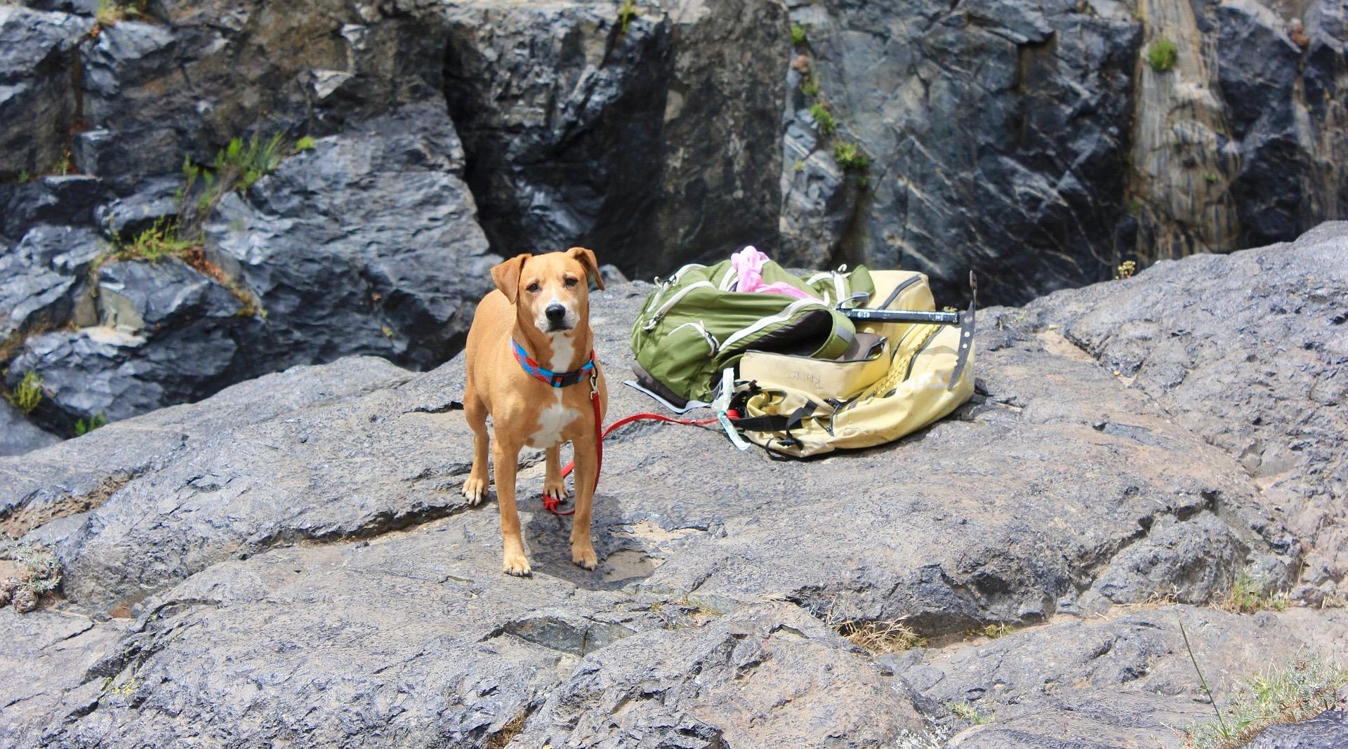 Die 20 Schonsten Wanderungen Rund Um Spalt Komoot