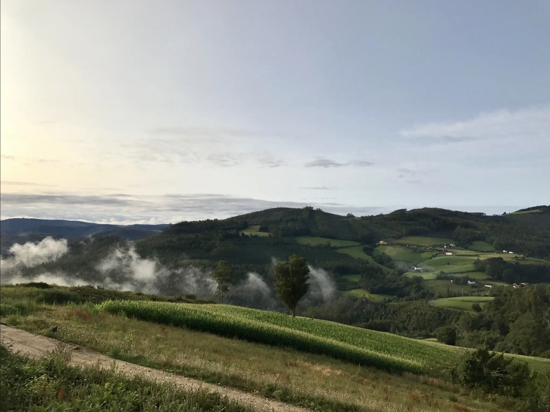 Essential Things To Do And See In Asturias Northern Spain An Inside Guide Driftwood Journals Northern Spain Travel Northern Spain Asturias