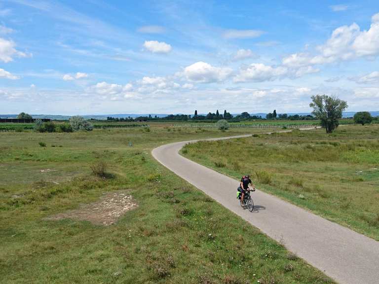 Neusiedler See Radweg drei Tage, zwei Länder, ein See