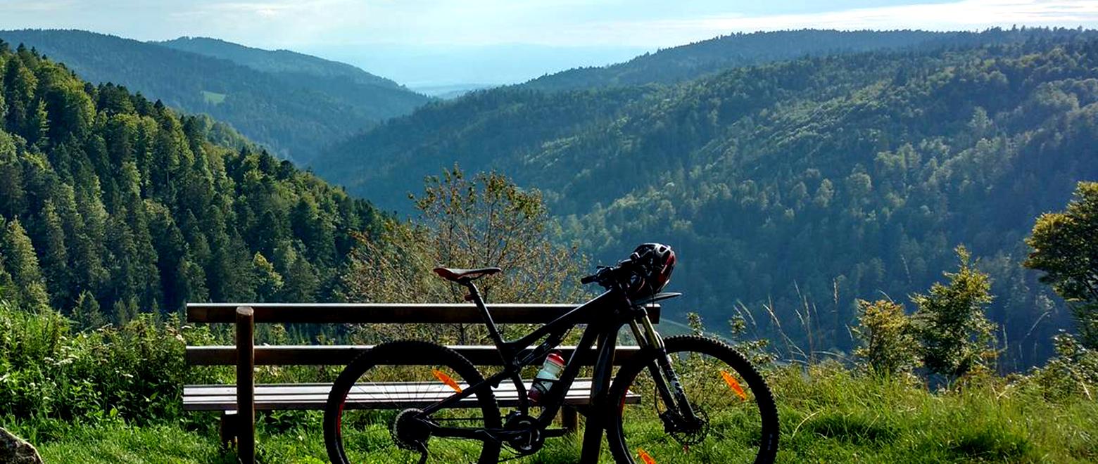 black forest mountain biking