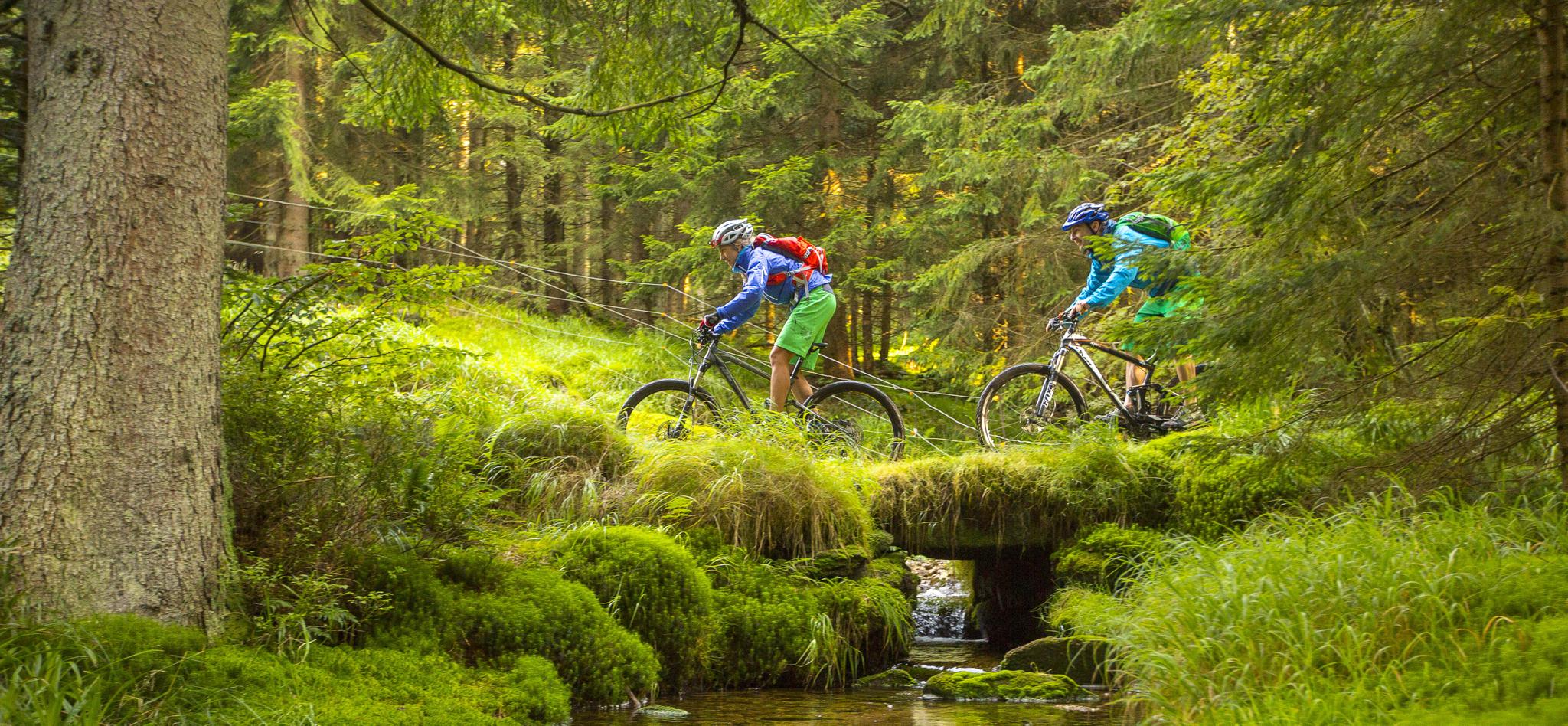 mountain bike adventure race