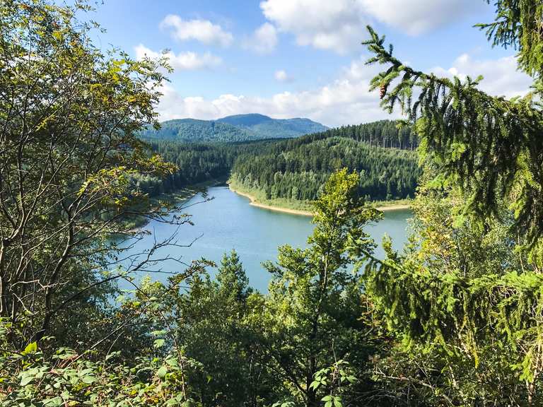 Der Harzer Försterstieg in 4 Etappen durch den Westharz Wander
