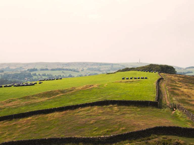 Peak district downhill store mountain biking