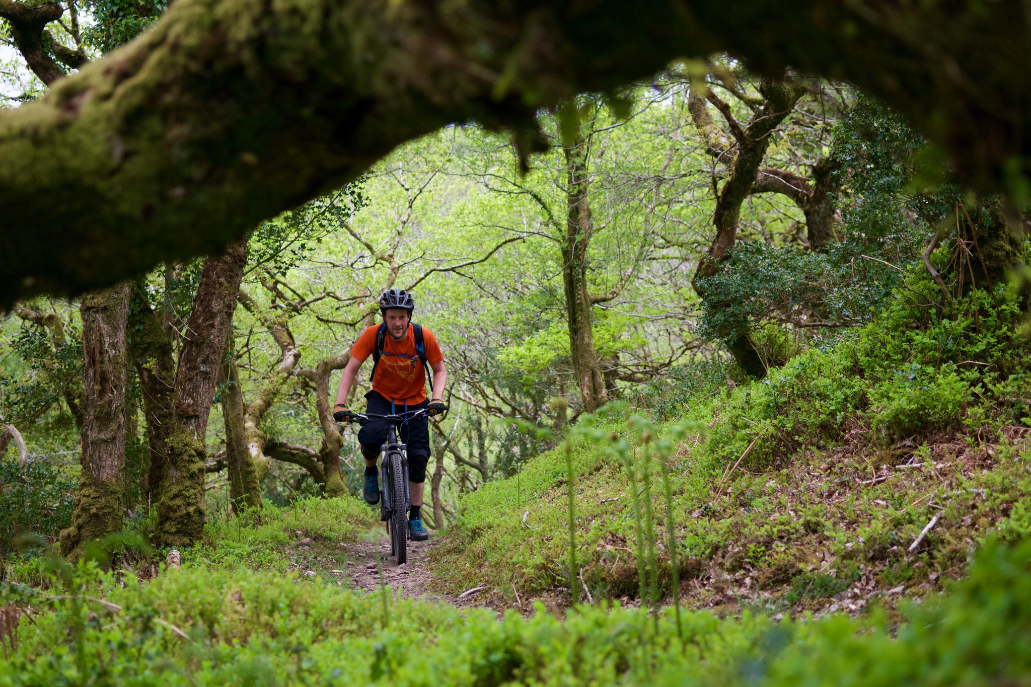 mountain bike trails exmoor