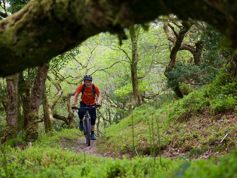 Exmoor mountain biking sale