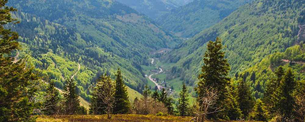 The Westweg Trail 12 Stages Through The Black Forest