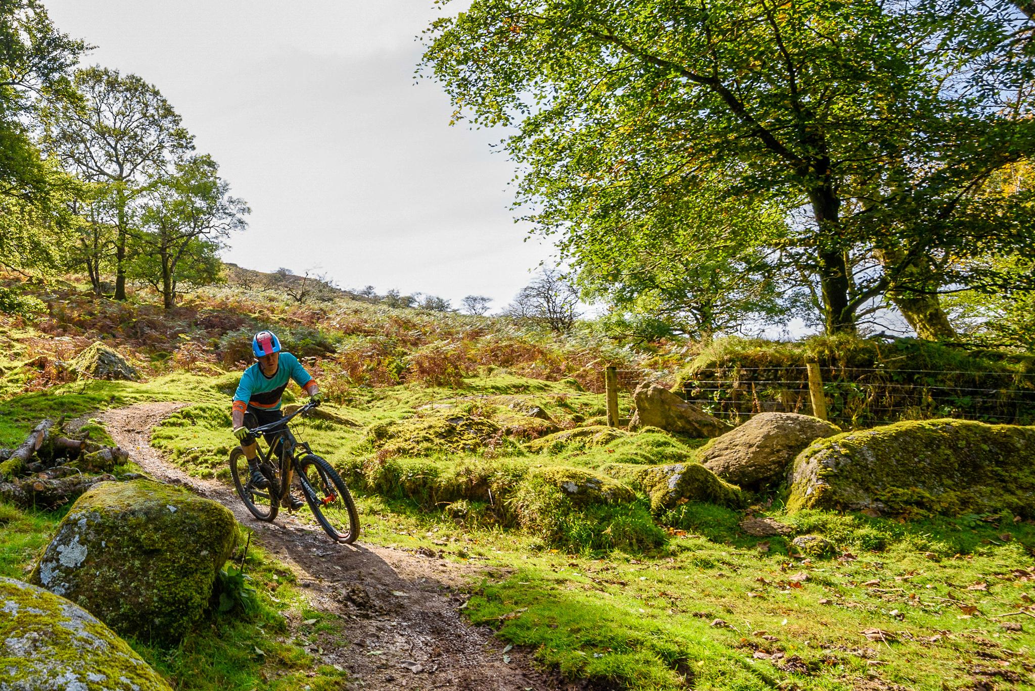 dartmoor mountain bike trails