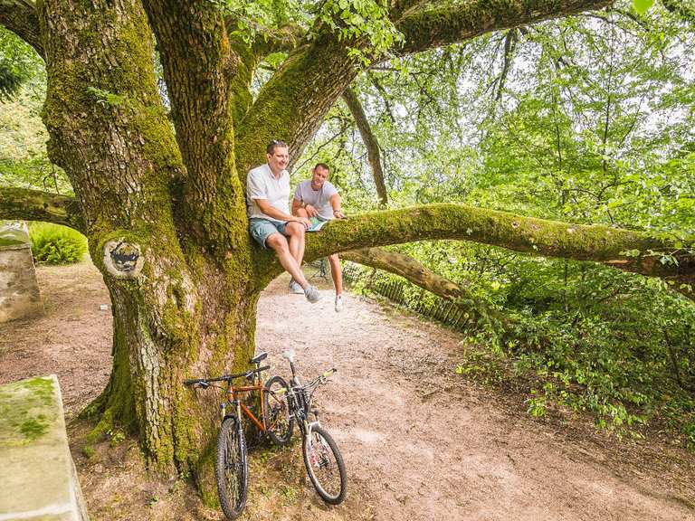 Schöne Fahrrad Rundtouren