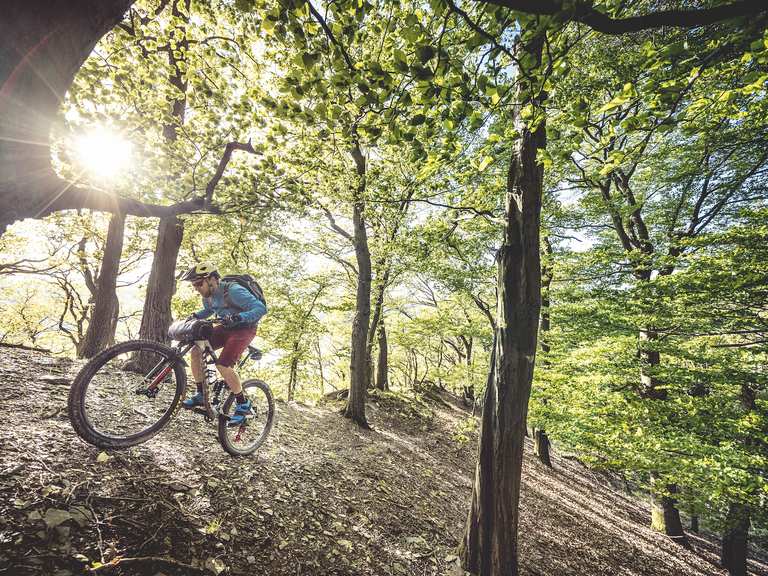 fahrrad von schweiz nach deutschland versenden