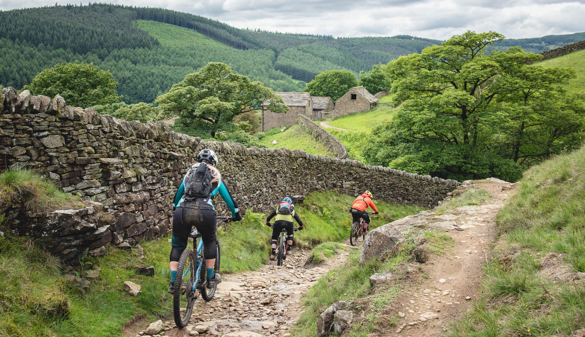 sheffield mountain bike race