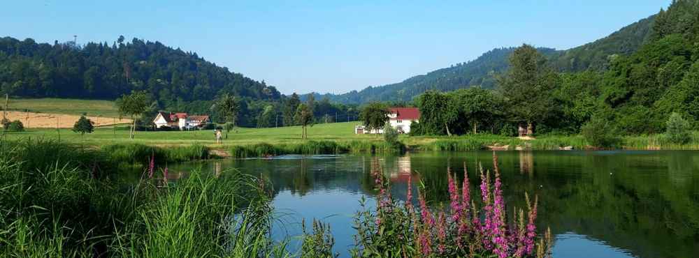 bike trips to the most beautiful bathing lakes around offenburg bike touring collection by komoot