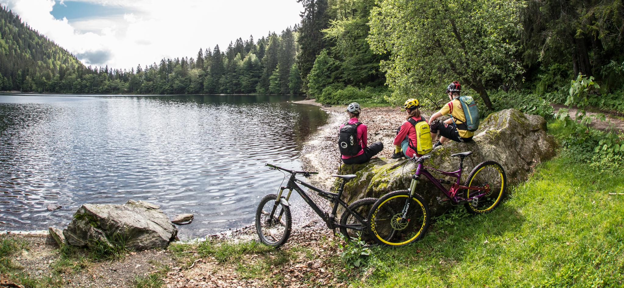 black forest mountain biking