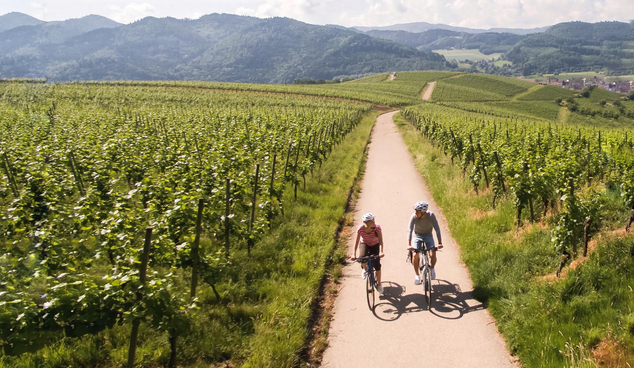 cycling along the rhine valley