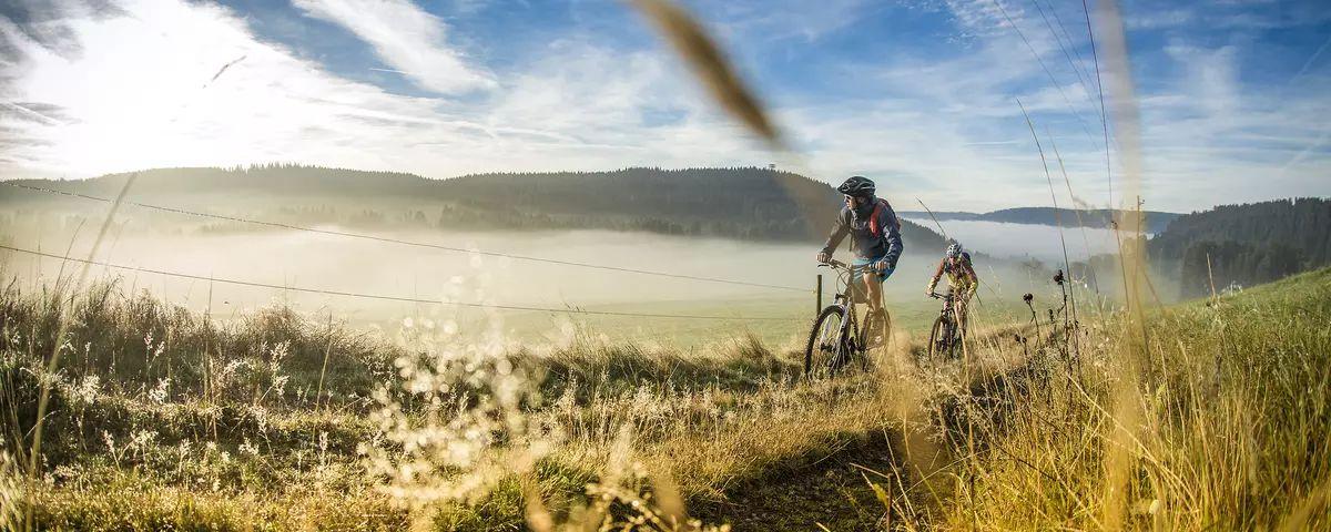 black forest mountain bike