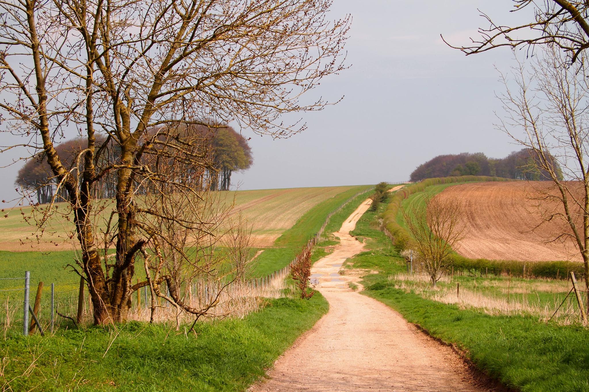 Prehistoric stone circles & white horses: Ride the ancient Ridgeway ...