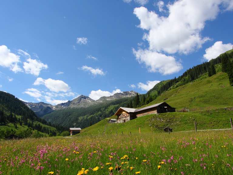 Wandern im Großarltal - dem Tal der Almen | Wander ...