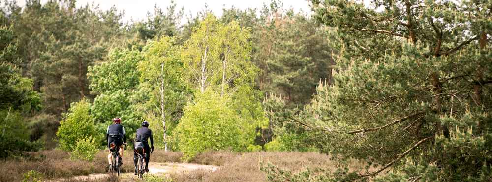 ready for adventure bikepacking von hamburg in die luneburger heide mountainbike collection von komoot