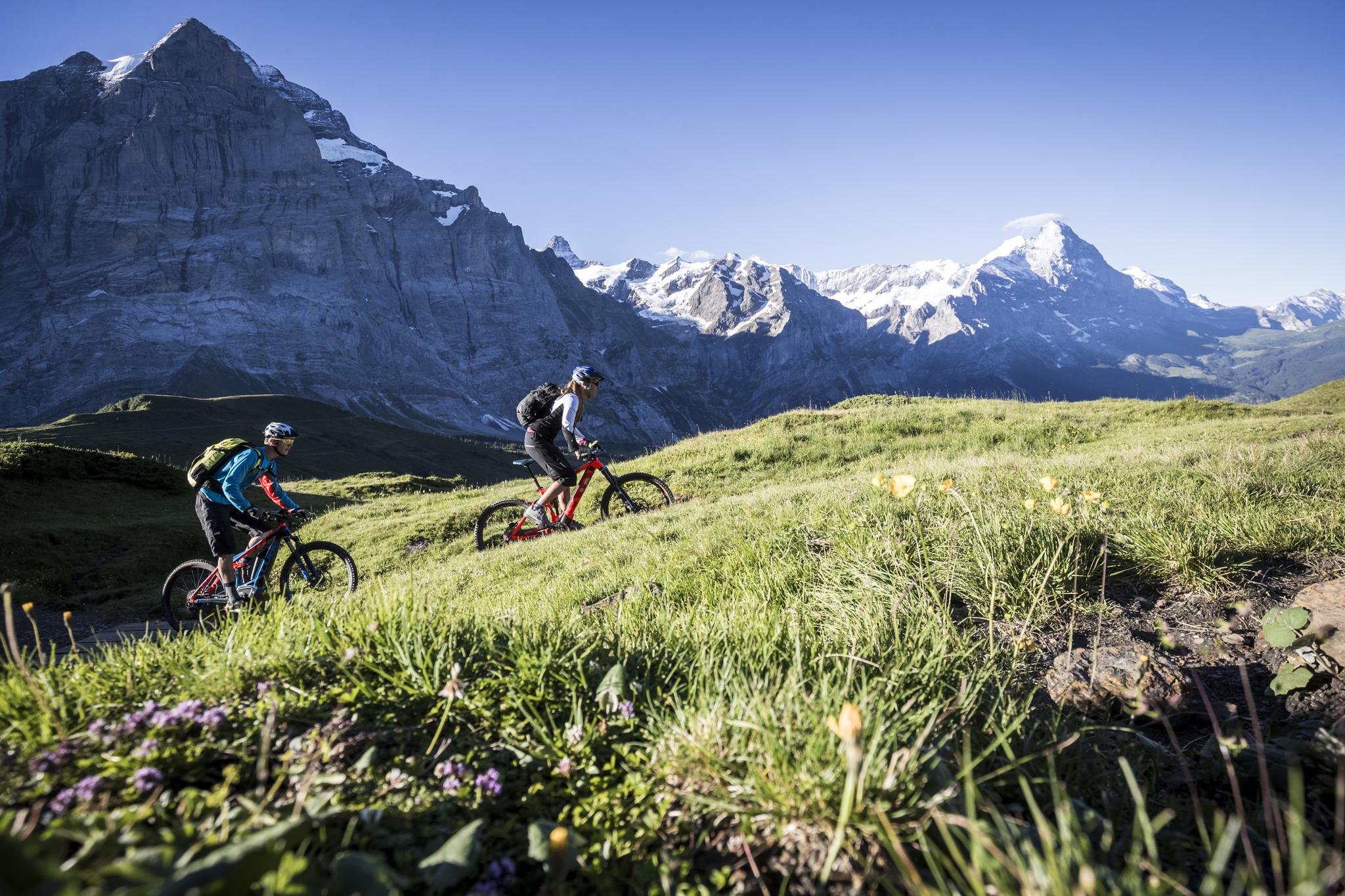 greenvalleys mountain bike park