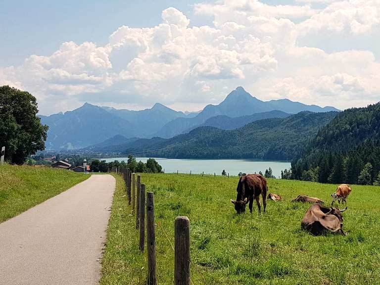 bannwaldsee allgäu nach neuschwanstein mit fahrrad