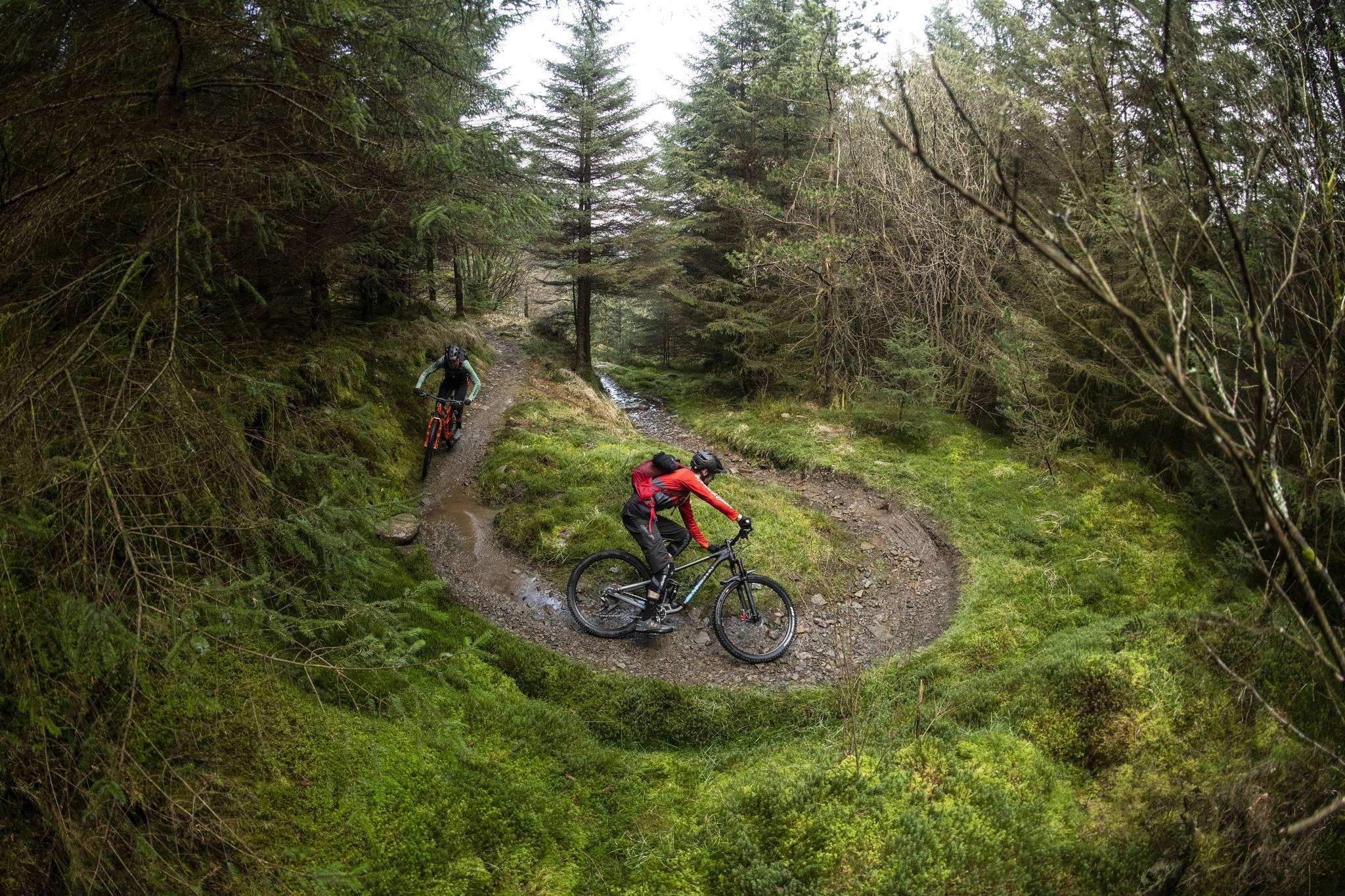 downhill mountain bike trails near me