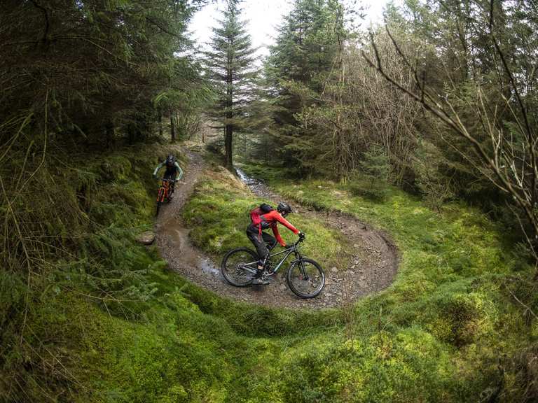 Swansea mountain bike discount trails