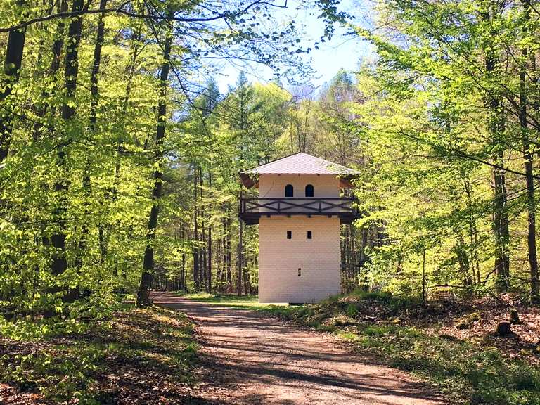 Auf dem deutschen LimesRadweg vom Rhein an die Donau Fahrrad