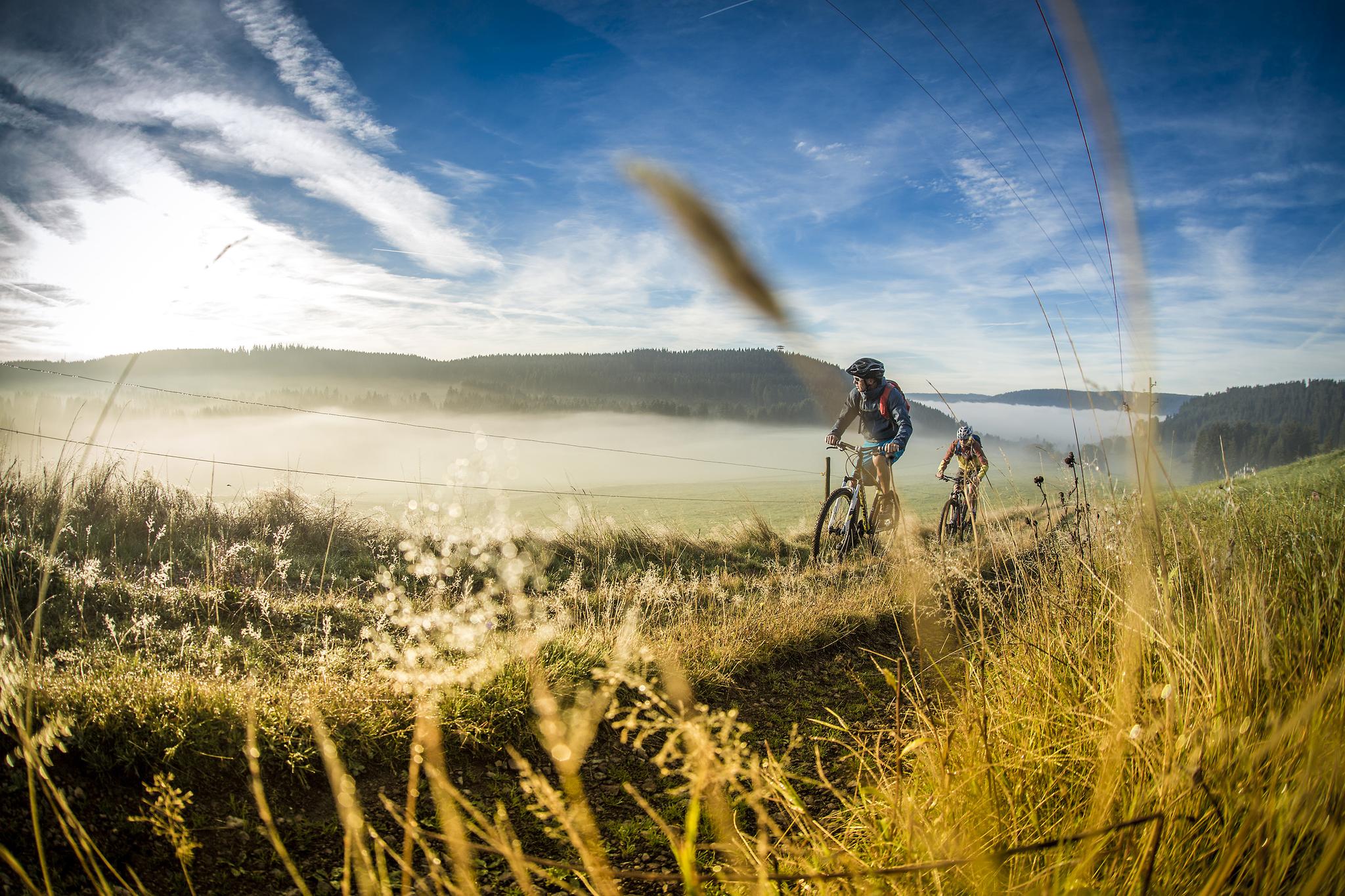 black forest mountain biking