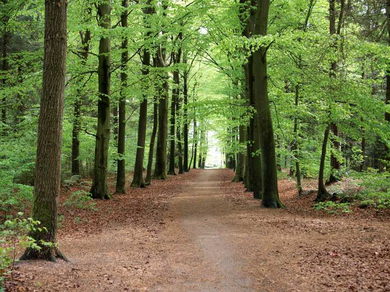 The ultimate offroad adventure Trans Netherlands MTB Route