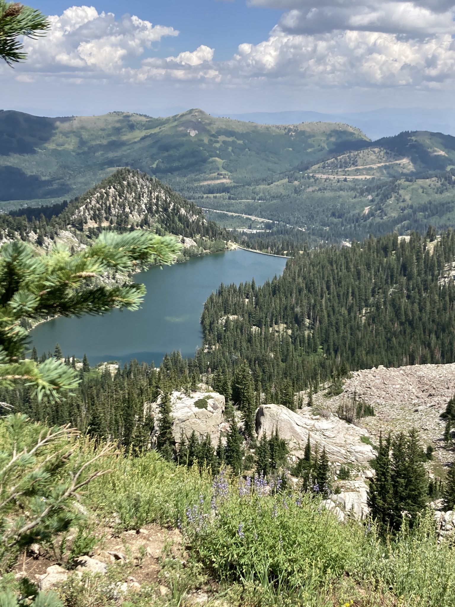 A serene lake nestled among green mountains and forests on a sunny day. - Twin Lakes Pass – Catherine Pass loop from Alta