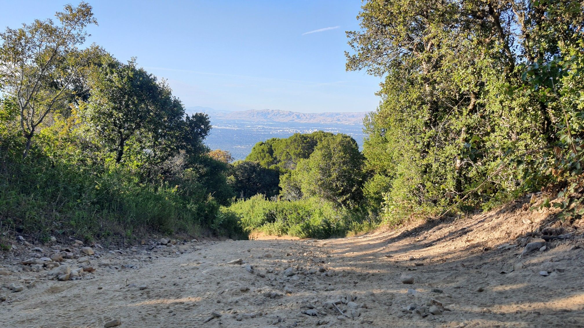 A dirt path descends through green trees, revealing a distant hazy landscape. - Kennedy Trail – Kennedy Road loop from Oak Meadow
