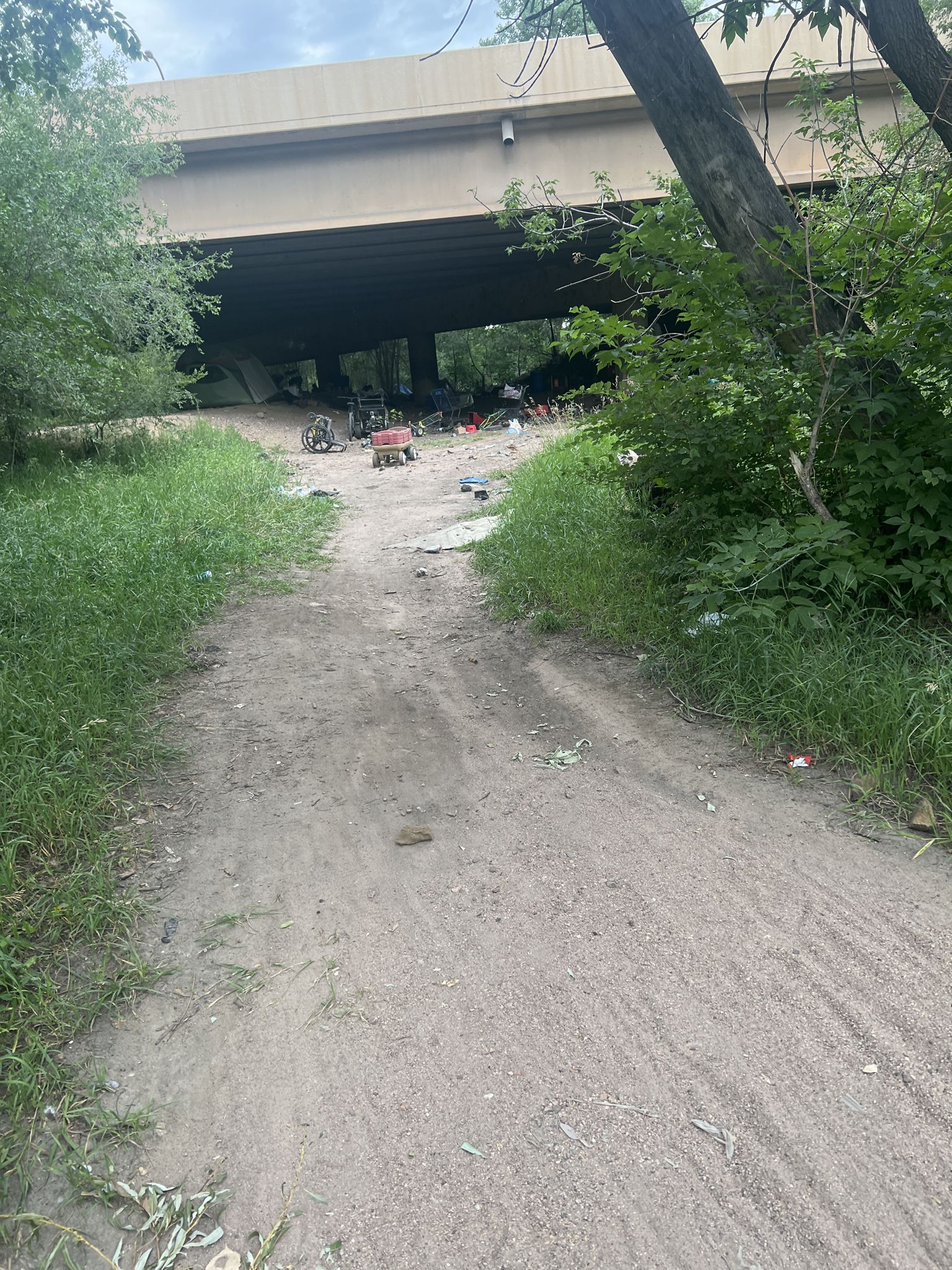 A dirt path leads under a concrete bridge with overgrown vegetation. - Fountain Creek Regional Park – Fountain Creek Regional Trail loop from Fountain