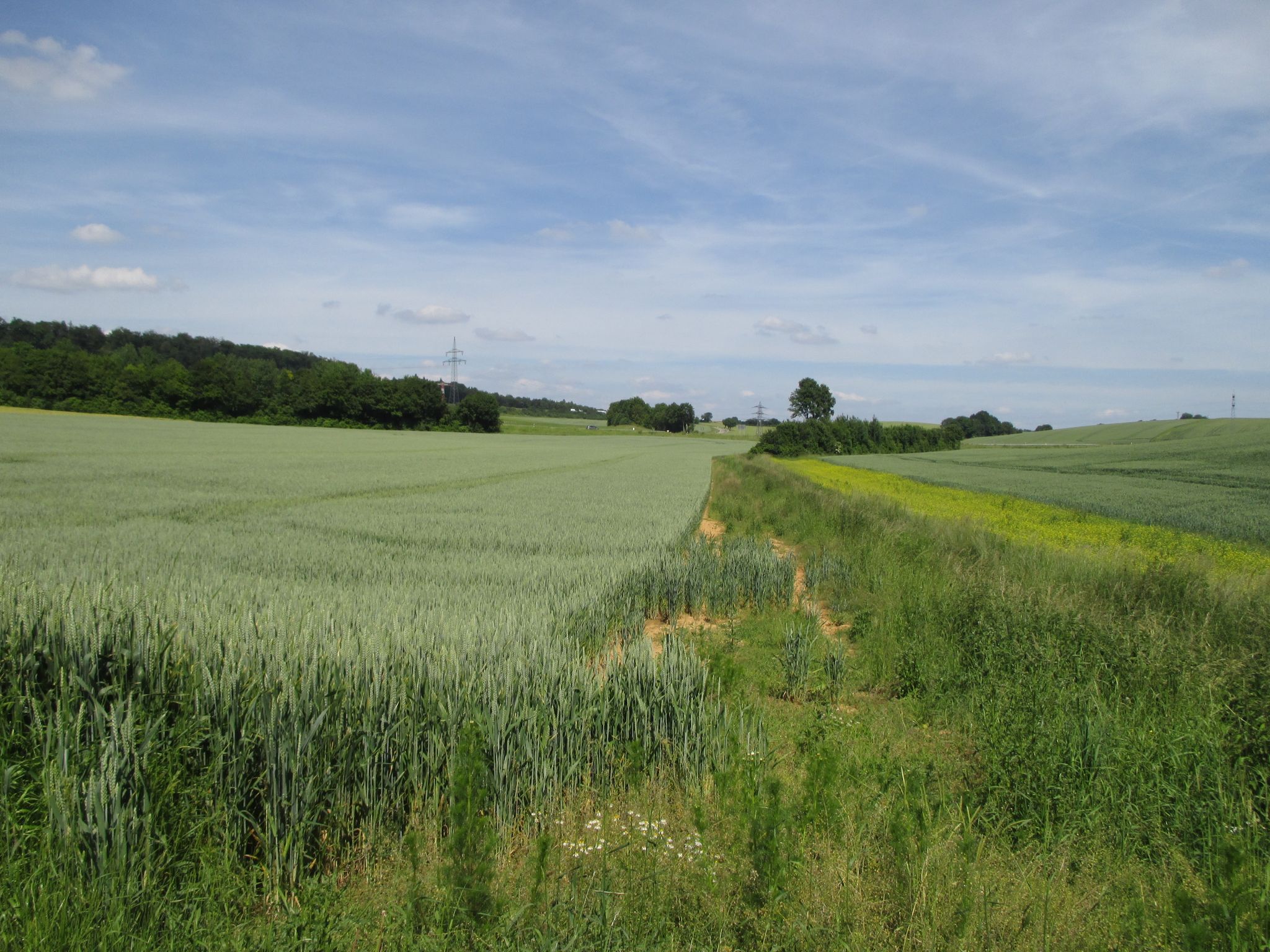 Feldgraben