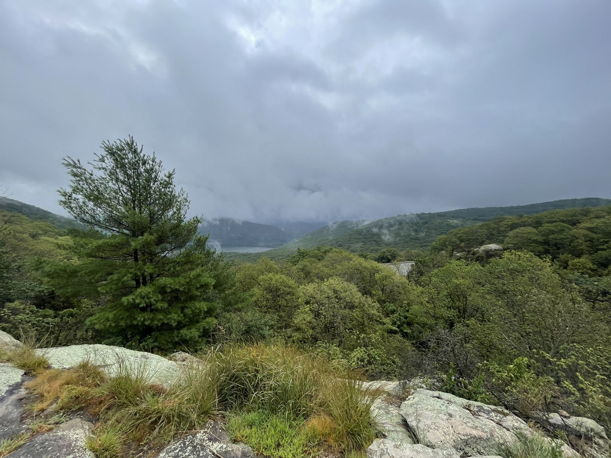 Overcast view of a forested valley with a lake and misty distant mountains. - Butter Hill Trail