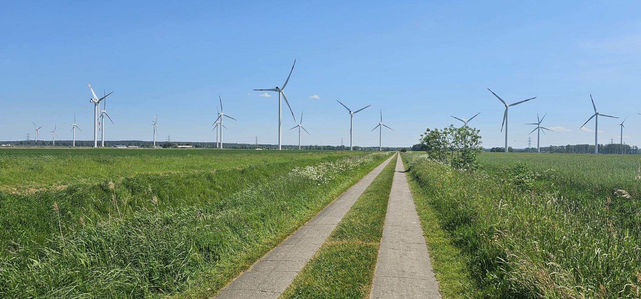 Windland SH - mehr als 3.300 Anlangen
