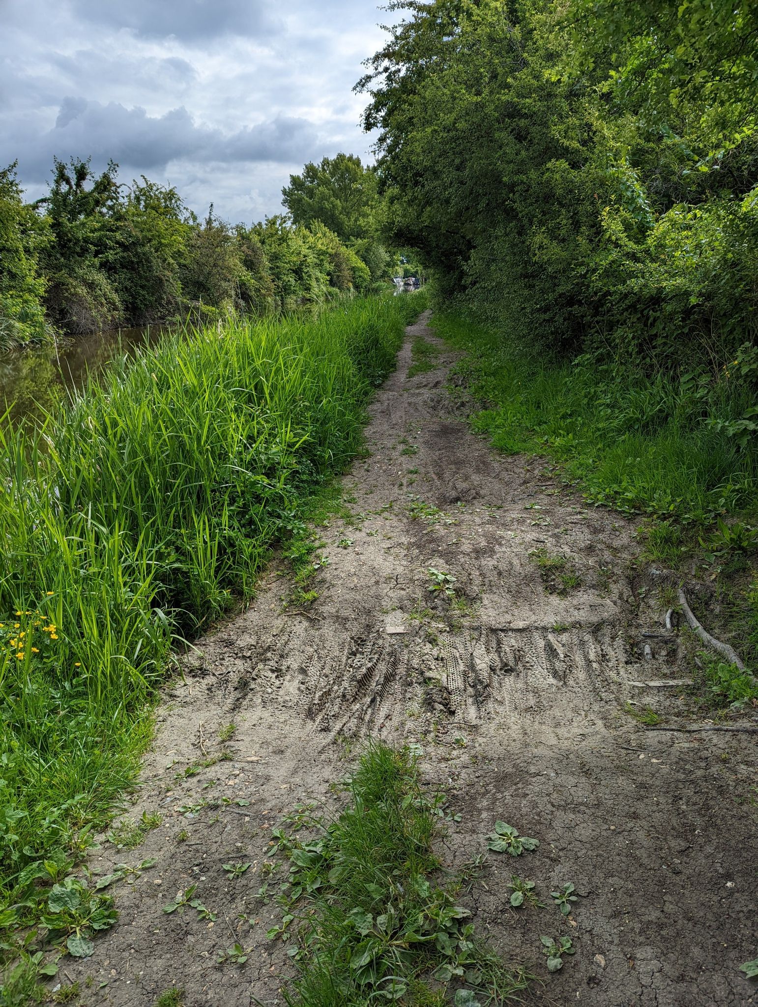 This towpath is getting less cycle friendly