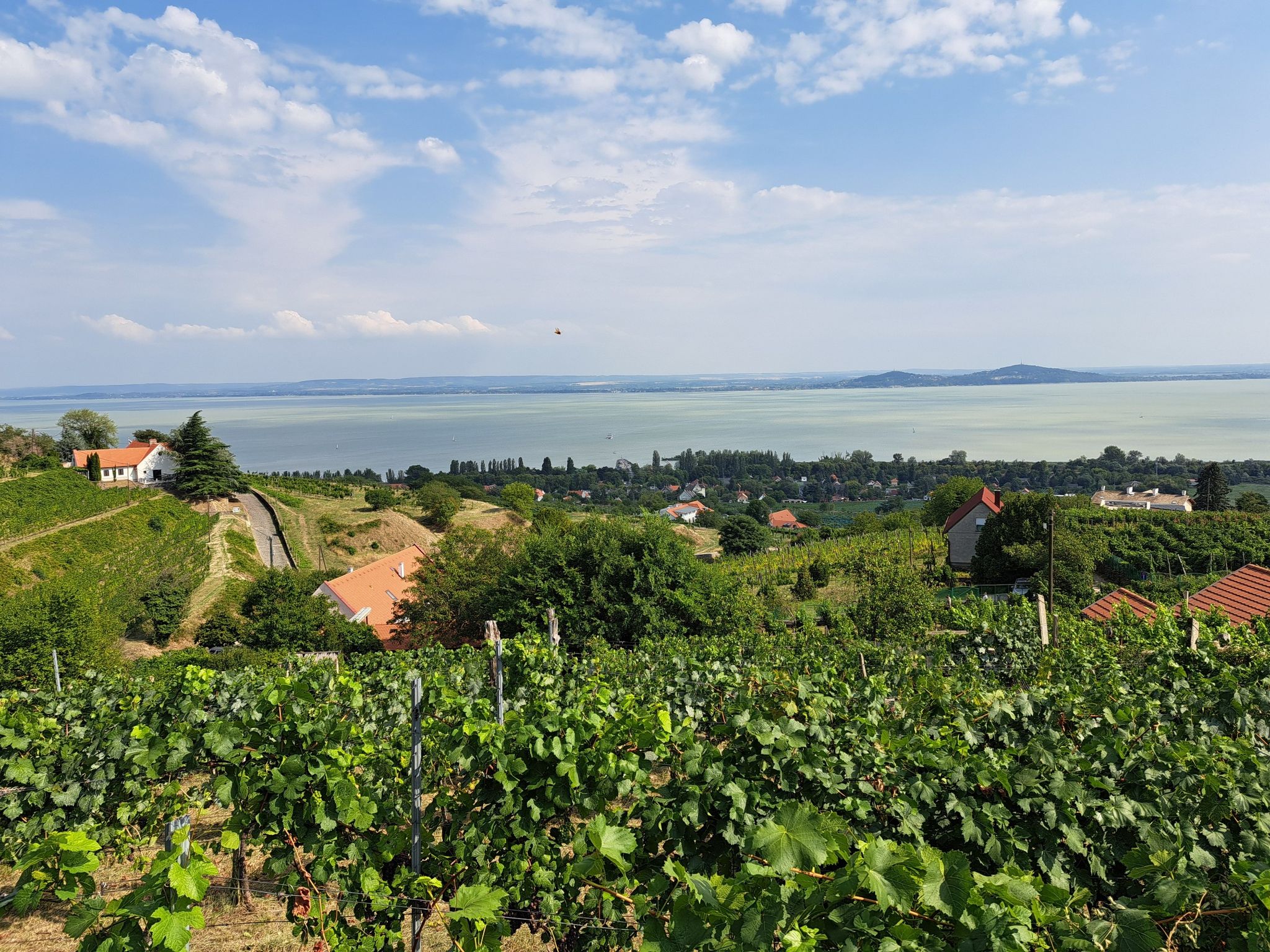 Badacsony view