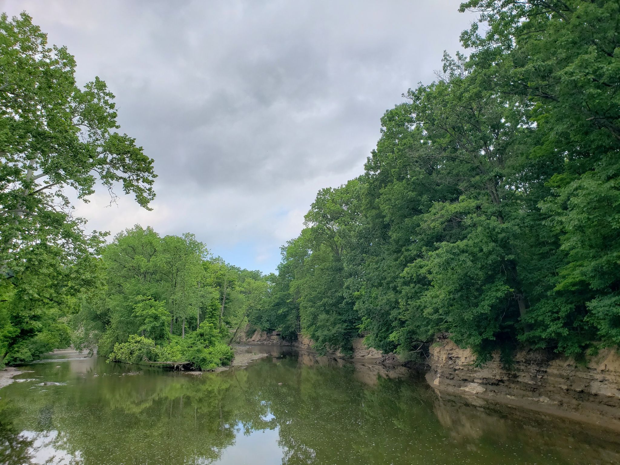 Calm river flowing between lush green trees and rocky banks, cloudy sky. - Rocky River Nature Center – Berea Falls Scenic Overlook loop from Rocky River