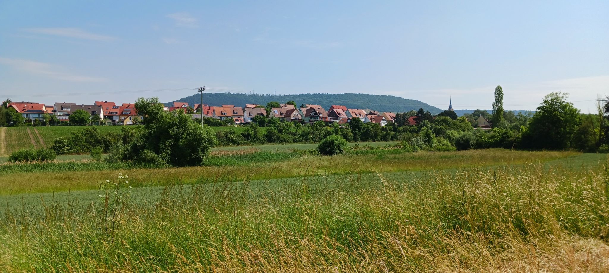 Schwanberg (im Hintergrund)
