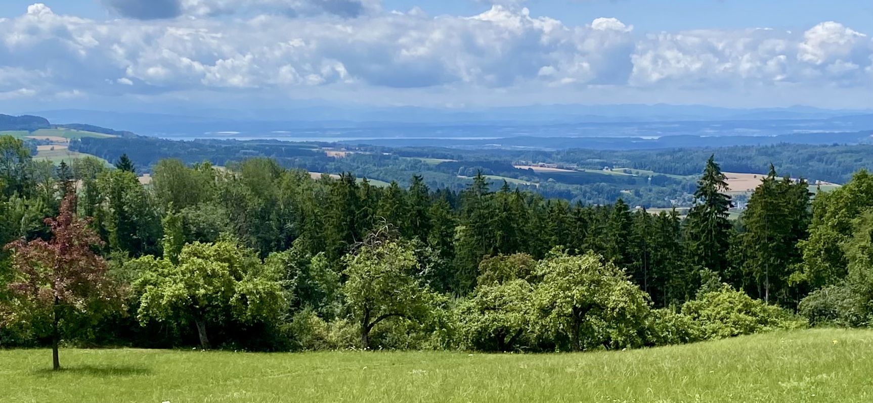 Blick vom Höchsten