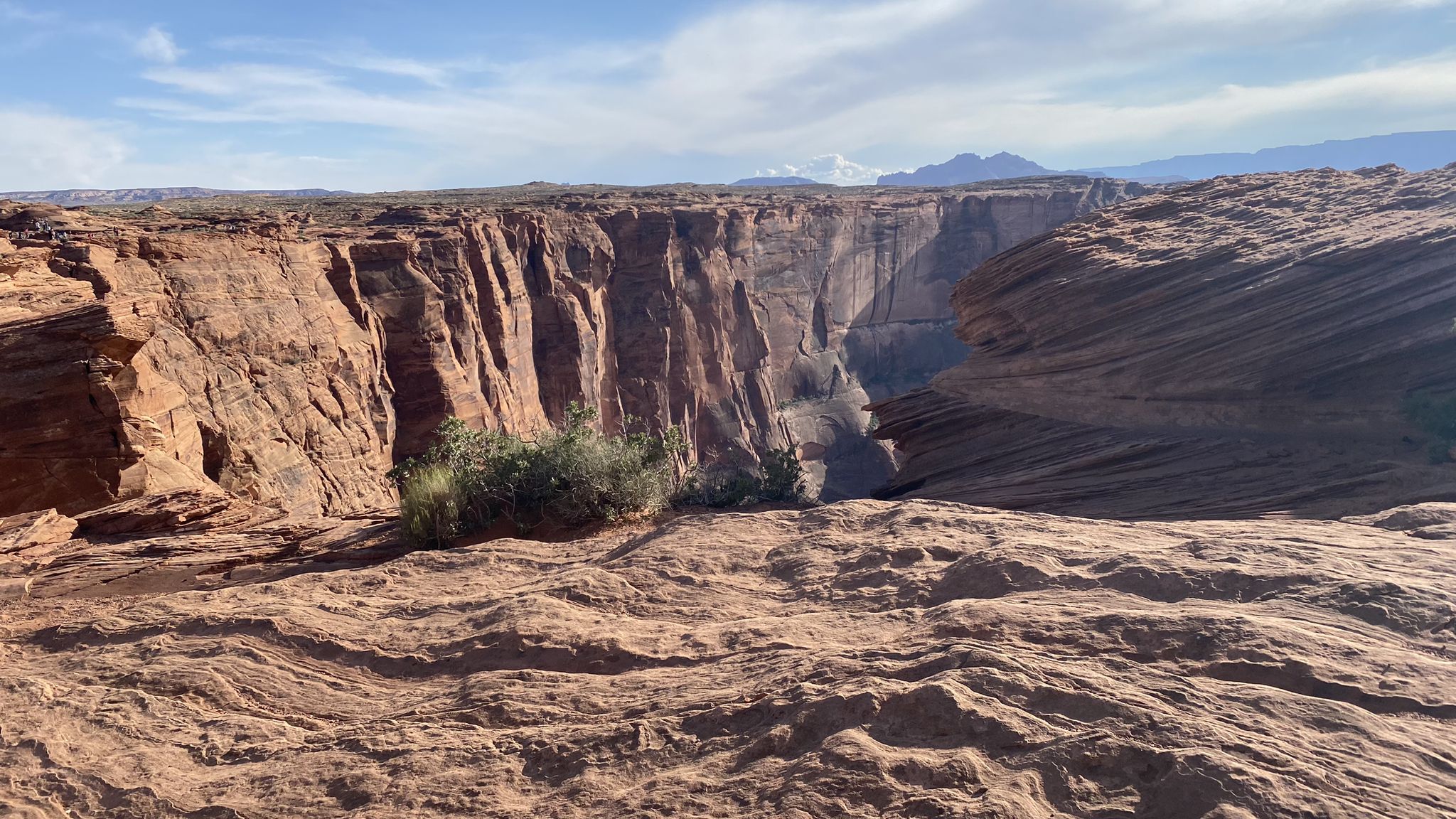 Deep canyon walls with a small green bush, under a bright sky. - Horseshoe Bend Trail