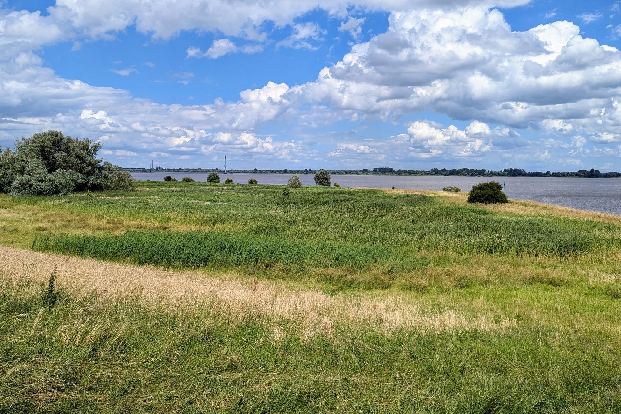 Blick auf die Elbe