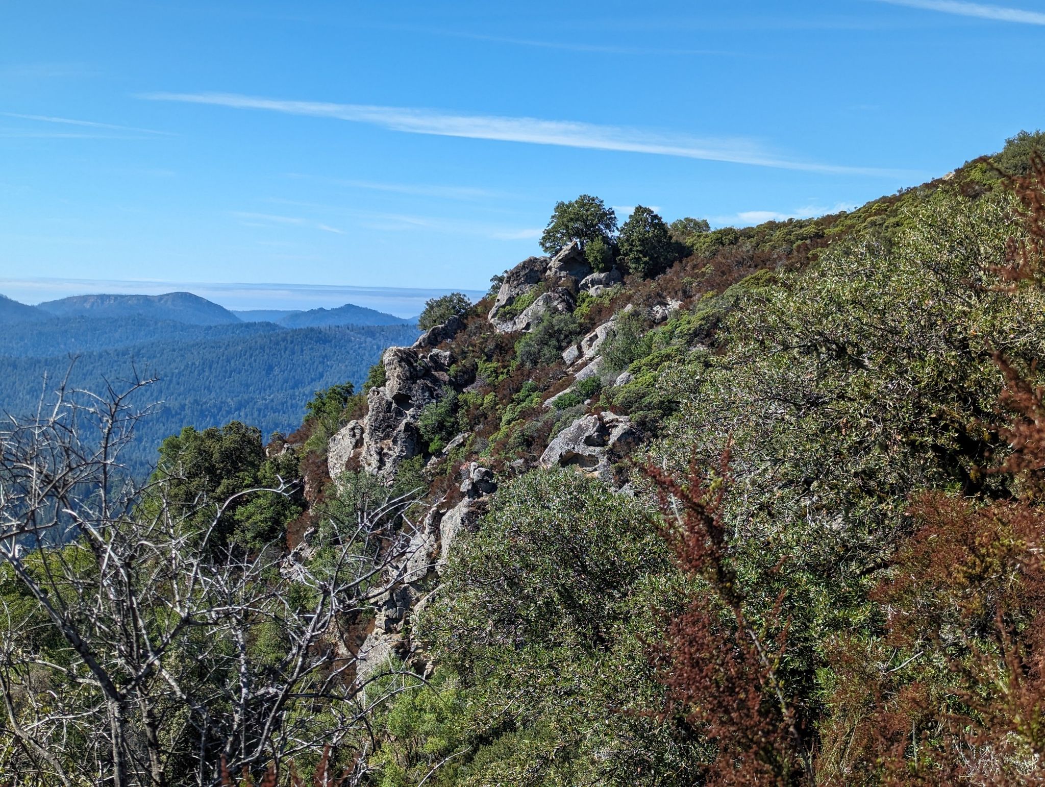 Rocky, brush-covered hillside with distant mountains under a bright blue sky. - Goat Rock Trail